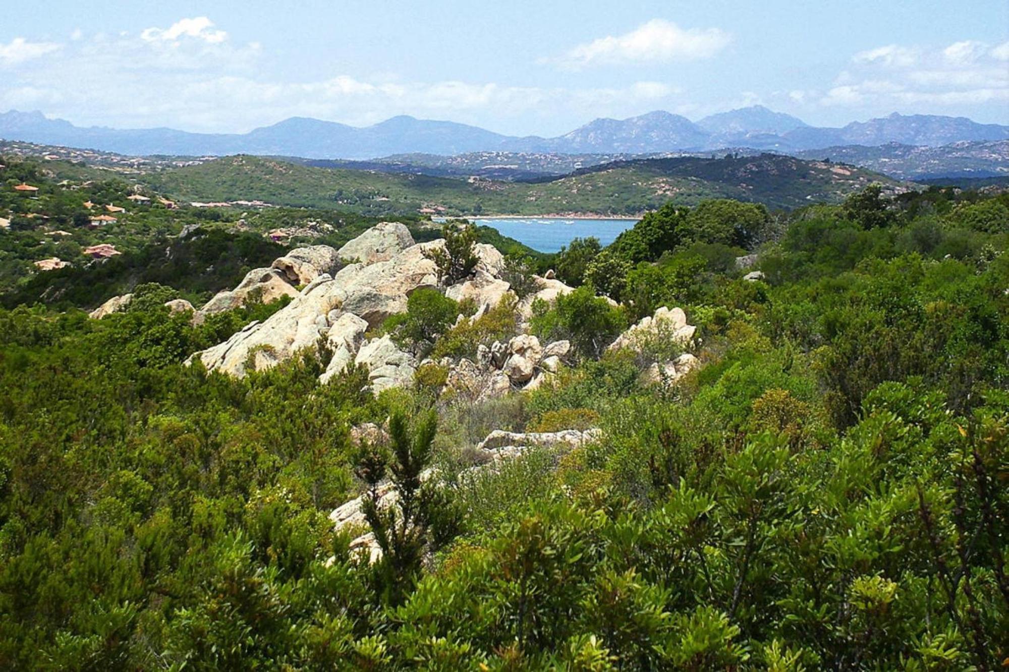 Residence La Tartaruga Monte Petruso San Teodoro San Teodoro  Bagian luar foto